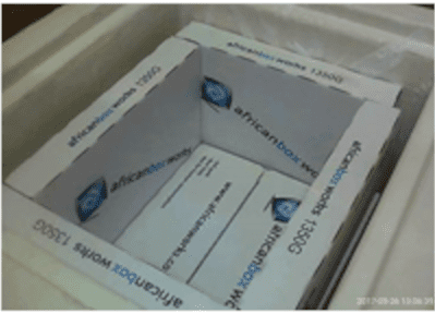 Frozen Goods Boxes - Image 3